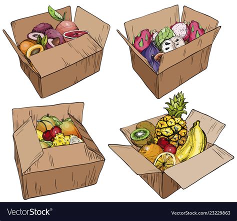 Set Of Fresh Fruits In Cardboard Boxes Royalty Free Vector