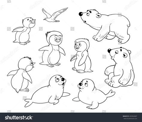 Get Free Printable Arctic Animals Coloring Pages  Colorist