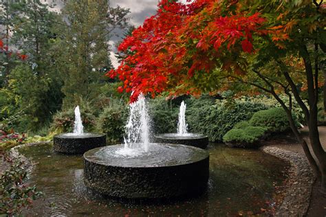 Check spelling or type a new query. File:Forstbot garten koeln-1.JPG - Wikimedia Commons