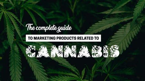 5 Tips For Cannabis Marketing In A Highly Regulated Industry Online