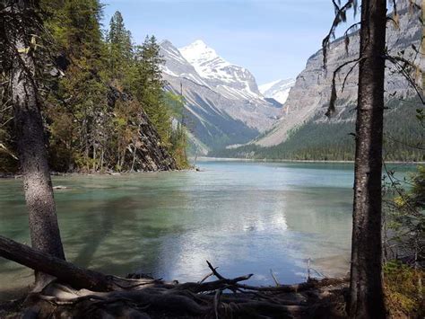 Kinney Lake Wanderungen Und Rundwege Komoot