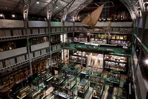 Visiting The Pitt Rivers Museum In Oxford