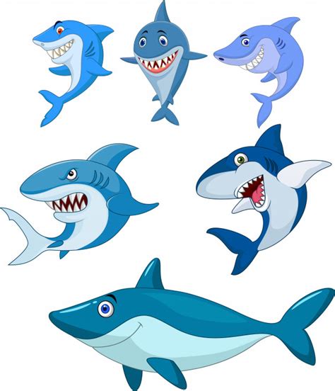 ¿qué es un tiburón de mar océano? Colección de tiburones de dibujos animados | Vector Premium