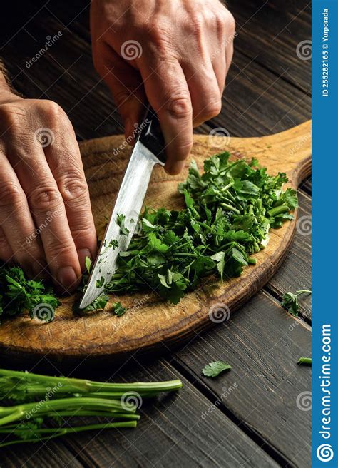 The Cook Hands Cutting Green Parsley Leaves On A Cutting Board With A