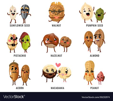 Cartoon Nuts Smiling Funny Characters With Faces Vector Image