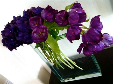 EGGPLANT PURPLE | Purple, Blue and purple, Eggplant purple