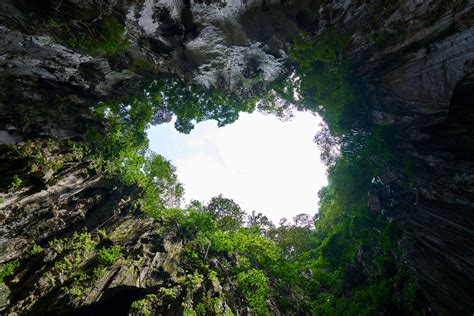 Cave Daylight Environment Forest Landscape Low Angle Shot