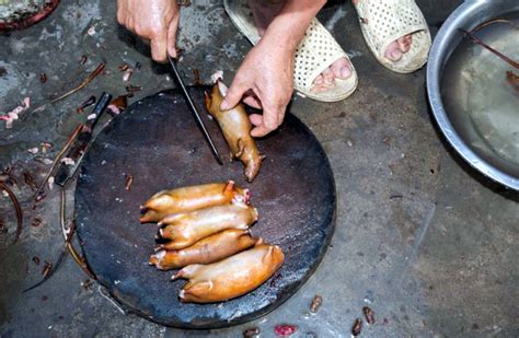 Thịt Chuột Việt Nam Ngon Như Phomai Que Tây Liều Thử Rồi Mê Ngay