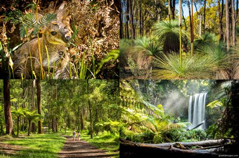 Photographing Every National Park In Victoria Australia Petapixel