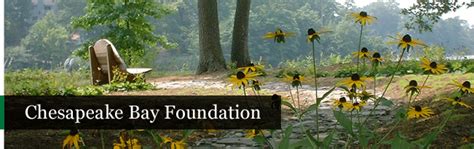 Chesapeake Bay Foundation Nature Sacred