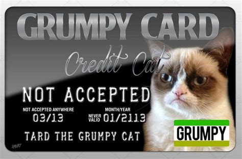 157 Best Images About Grumpy Cat On Pinterest Cats