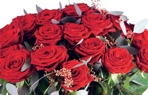 Bouquet Rond De Roses Rouges Longues Tiges Livraison 77 En 4 Heures