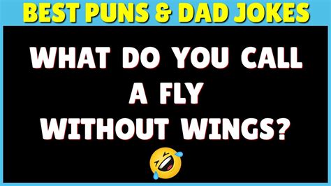 Funny Puns And Funny Dad Jokes To Make You Laugh So Hard Youtube
