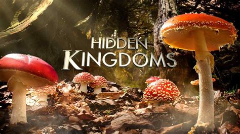 Hidden Kingdoms Watch Free Online Documentaries