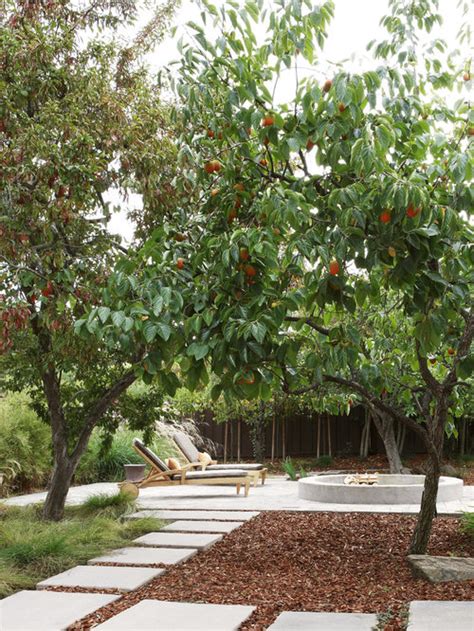 Fruit Tree Gardening Home Design Ideas Pictures Remodel And Decor