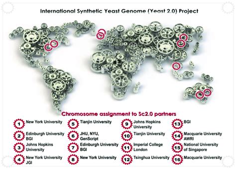 The Synthetic Yeast Genome Yeast 20sc20 Project Is An