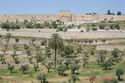 Kidron Valley And Eastern Gate In Jerusalem Natural Landmarks Trip