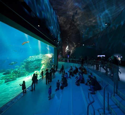 The Blue Planet Aquarium Α Vortex To An Underwater World