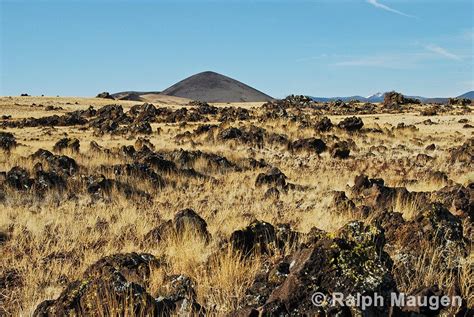 The Springerville Volcanic Field Encompasses About 1150 Square Miles