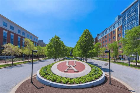 The University Of Akron Stellic Degree Management Reimagined