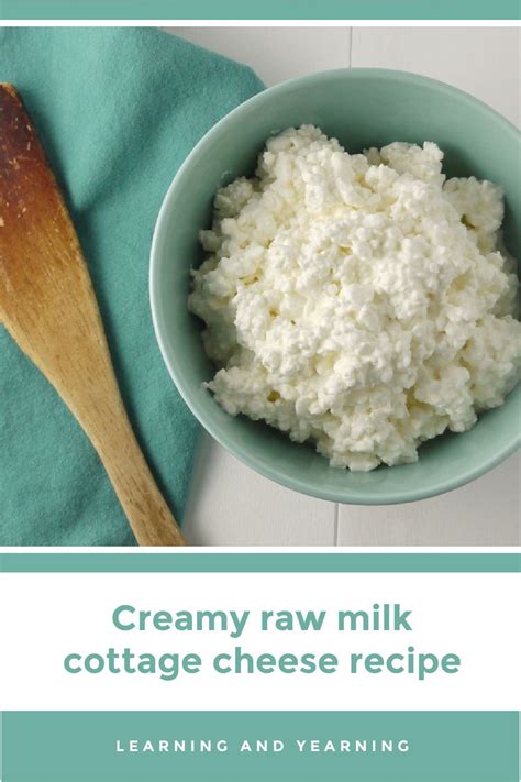 Creamy Homemade Raw Milk Cottage Cheese Recipe Cottage Cheese Recipes Cheese Recipes