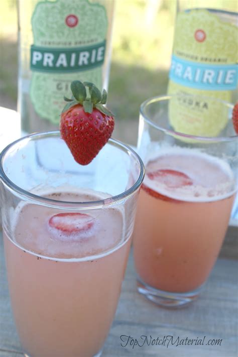 Top Notch Material Strawberry Rhubarb Cocktail Prairie Organic Spirits