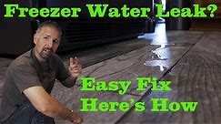 💦 Freezer Water Leak Guide (Complete Solution)