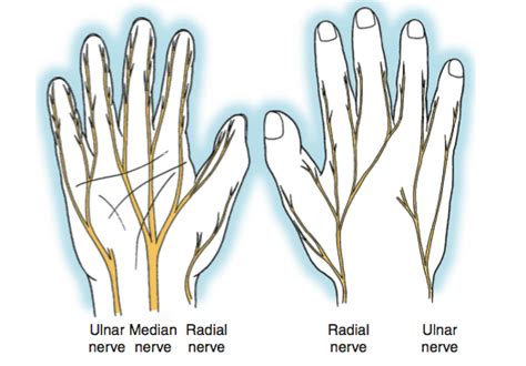 Cubital Tunnel Syndrome Handout Dr Thomas Trumble Md