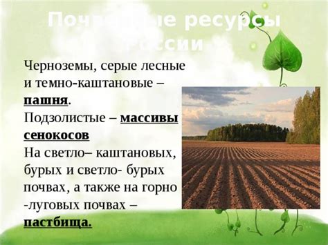 Почвенные ресурсы России. Презентация