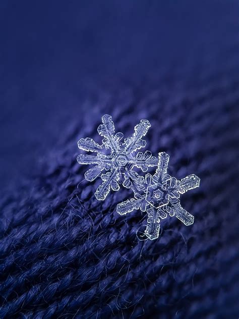 How To Take Macro Pictures Of Beautiful Snowflakes