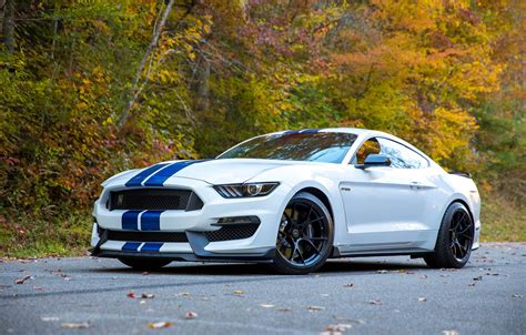 Oxford White Gt350r Thread Page 18 2015 S550 Mustang Forum Gt