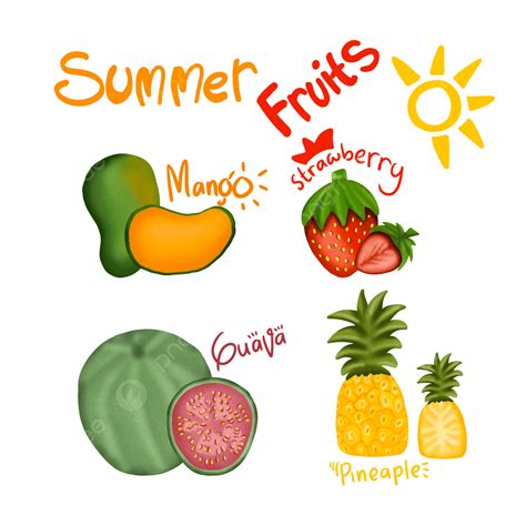 Fruits Collection Hd Transparent Summer Fruits Collection Summer