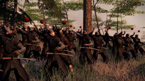 Total War Shogun 2 Fall Of The Samurai The Tsu Faction Pack On Steam