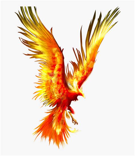 Tattoo Fireworks Mythology Firebird Phoenix Download Phoenix Fire