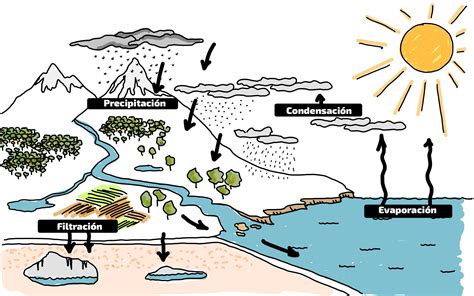 Descubrir más de 77 dibujo del ciclo del agua muy caliente vietkidsiq