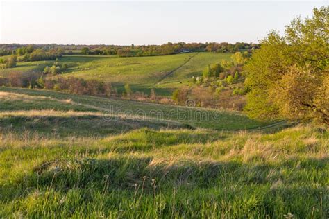 Rural Summer Pasture Sunset Landscape In Central Ukraine Stock Photo