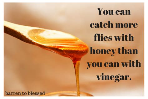 Catch More Flies With Honey Than Vinegar Barren To Blessed