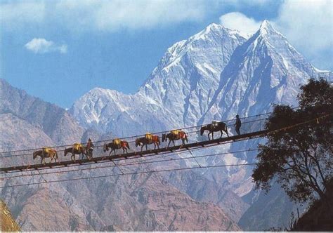 Yet Another Nepali Bridge Id Rather Not Cross Beautiful World