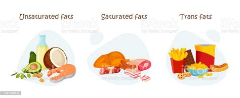 Saturated Unsaturated And Trans Fats Stock Illustration Download