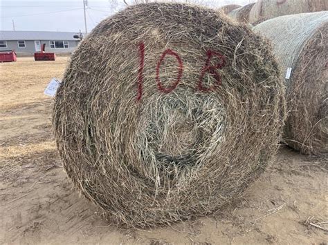 1 Bales Large Round Alfalfa Auction Results In Union Iowa