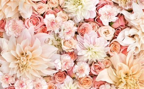 Cute Floral Desktop Wallpapers Top Free Cute Floral Desktop Backgrounds Wallpaperaccess