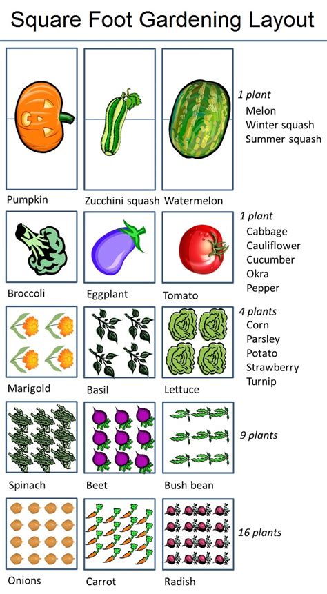 Square foot gardening (commonly referred to as sfg) is a planting method that was developed by american author and tv presenter mel bartholomew in best of all is that the sfg plants can be part of a larger garden plan that includes more traditional planting layouts and large plants, so there's the. #Gardening : Square Foot Gardening Layout - My Favorite Things