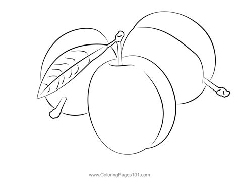Plums Coloring Page For Kids Free Plum Printable Coloring Pages
