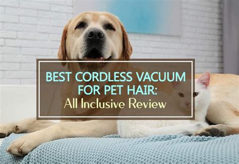 The 10 Best Cordless Vacuums For Pet Hair 2022 Household Advice