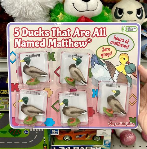 5 Ducks That Are All Named Matthew : obviousplant