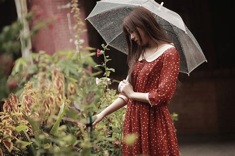 壁纸 妇女 模型 花卉 红 亚洲人 雨伞 连衣裙 时尚 弹簧 服装 美丽 淑女 2048x1365