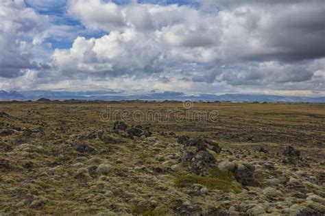 Lava Field Covered With Moss Near Vik Iceland Stock Image Image Of