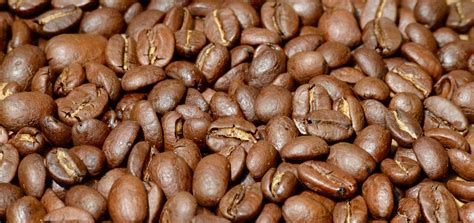 2 000 free roasting and coffee beans images pixabay