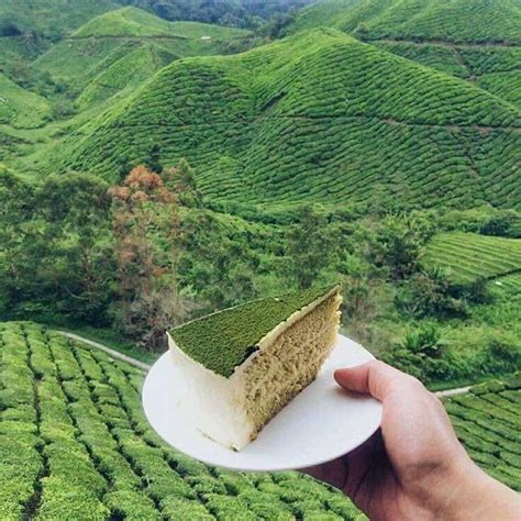 It's a place to get in touch with nature, visit farms and plantations and delve your teeth into fresh strawberries. 13 Tempat Wajib Singgah Di Cameron Highland - REMAJA