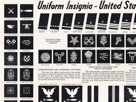 Uniform Insignia United States Navy Ww2 Navy Wwii Poster Etsy